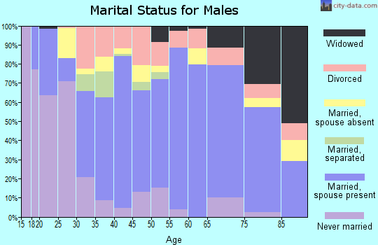 Zip code 47394 marital status for males