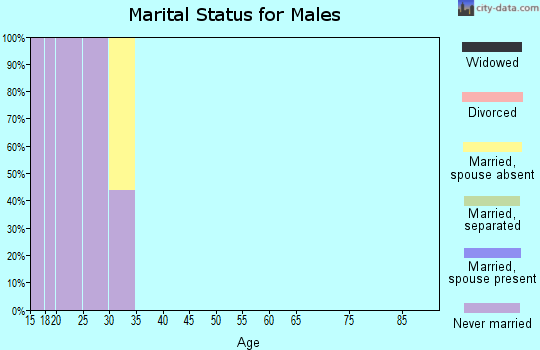Zip code 47406 marital status for males