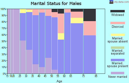 Zip code 47429 marital status for males