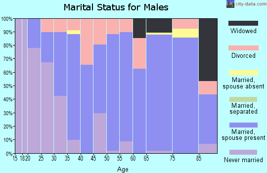 Zip code 47433 marital status for males
