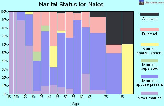 Zip code 47438 marital status for males