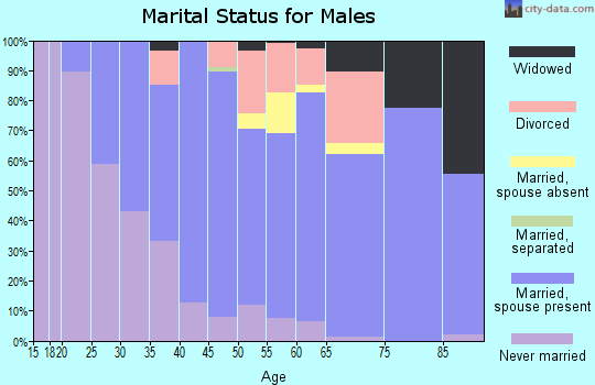 Zip code 47441 marital status for males