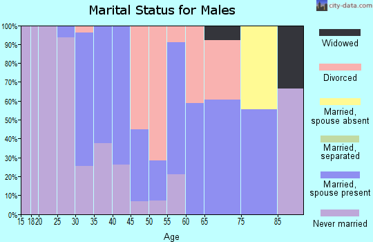 Zip code 47443 marital status for males