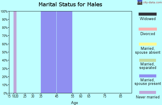 Zip code 47445 marital status for males