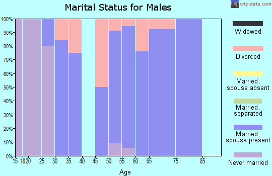 Zip code 47449 marital status for males