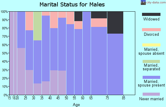 Zip code 47462 marital status for males
