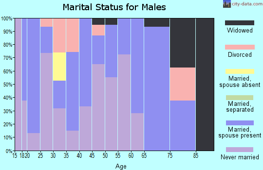 Zip code 47465 marital status for males