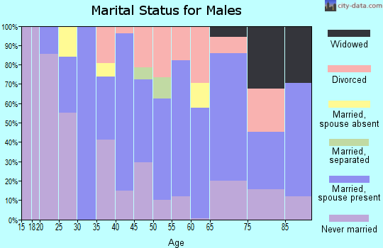 Zip code 47512 marital status for males