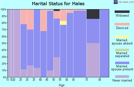 Zip code 47513 marital status for males