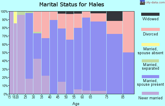 Zip code 47520 marital status for males