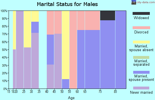 Zip code 47522 marital status for males