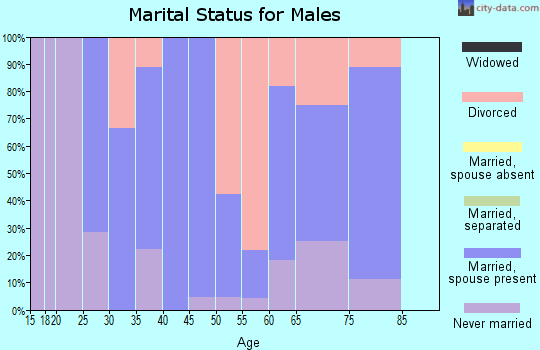 Zip code 47524 marital status for males