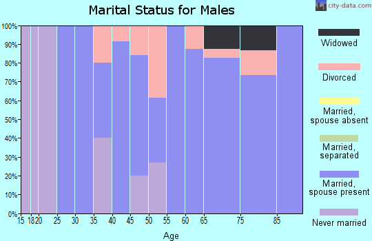 Zip code 47528 marital status for males