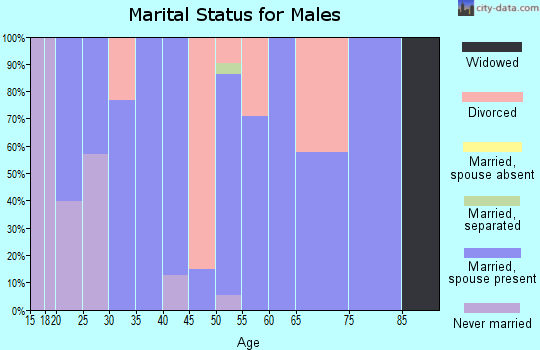 Zip code 47529 marital status for males