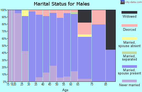 Zip code 47532 marital status for males