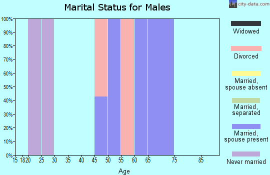 Zip code 47535 marital status for males