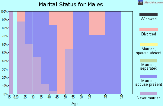 Zip code 47537 marital status for males