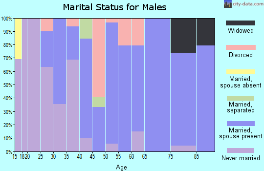 Zip code 47541 marital status for males