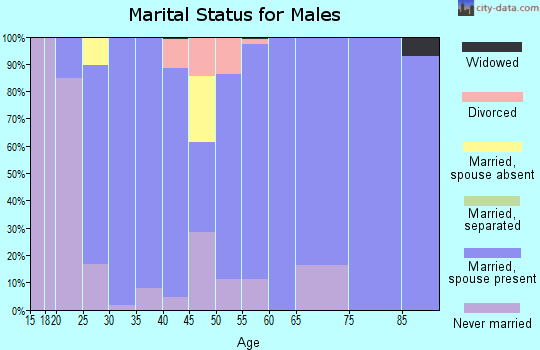 Zip code 47558 marital status for males