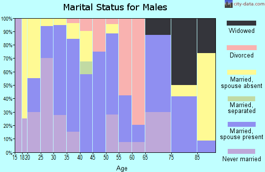 Zip code 47561 marital status for males