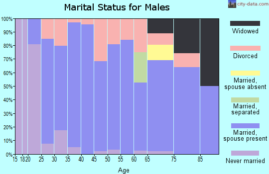 Zip code 47562 marital status for males