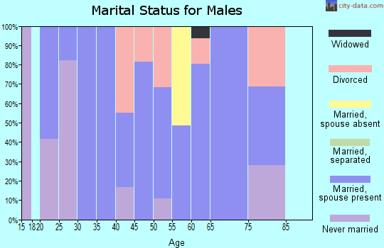 Zip code 47564 marital status for males