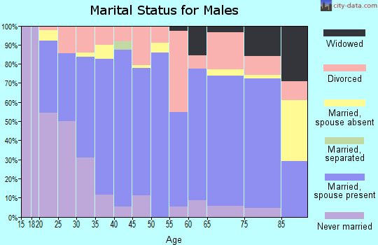 Zip code 47567 marital status for males