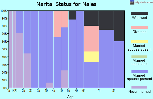 Zip code 47568 marital status for males