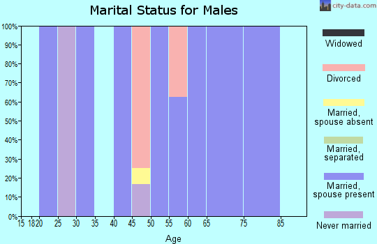 Zip code 47584 marital status for males