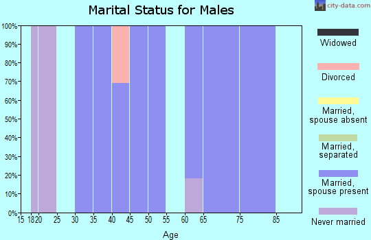 Zip code 47585 marital status for males