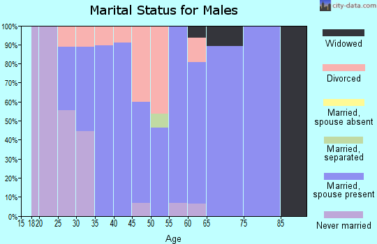 Zip code 47588 marital status for males
