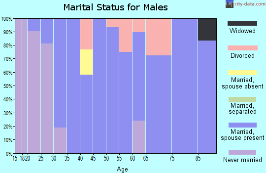 Zip code 47597 marital status for males