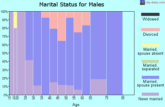 Zip code 47638 marital status for males