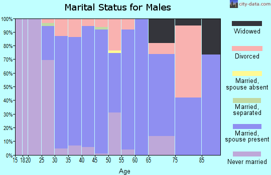 Zip code 47639 marital status for males