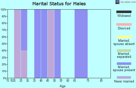 Zip code 47654 marital status for males
