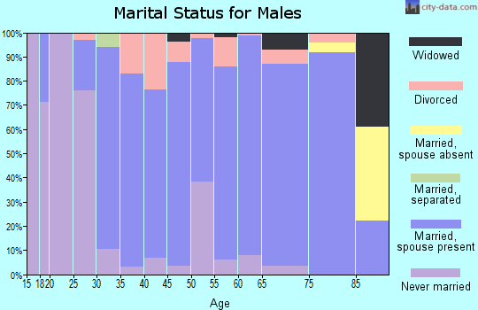 Zip code 47665 marital status for males