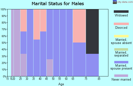 Zip code 47683 marital status for males