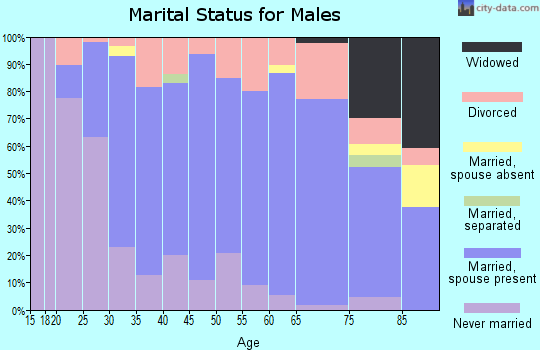 Zip code 47720 marital status for males