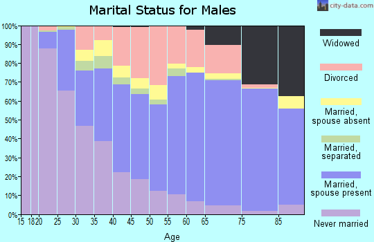 Zip code 47802 marital status for males
