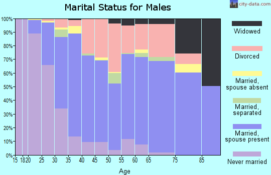 Zip code 47803 marital status for males