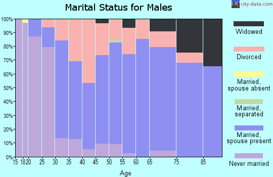 Zip code 47805 marital status for males