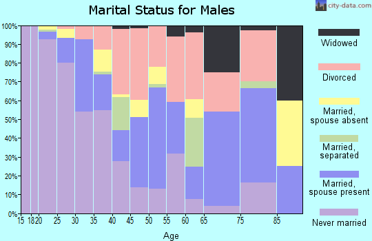 Zip code 47807 marital status for males