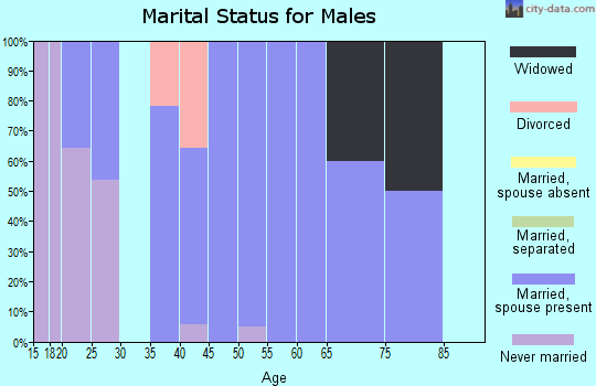 Zip code 47832 marital status for males