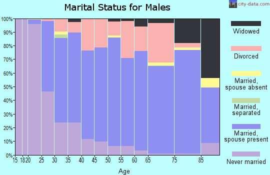 Zip code 47834 marital status for males