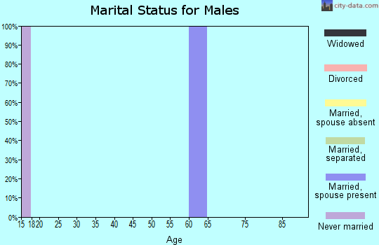 Zip code 47836 marital status for males