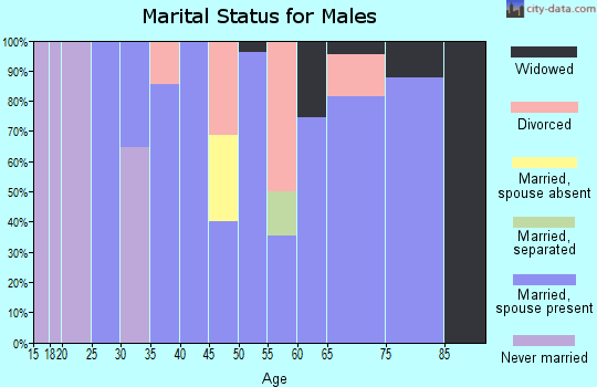 Zip code 47837 marital status for males