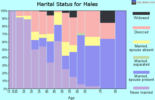 Zip code 47838 marital status for males