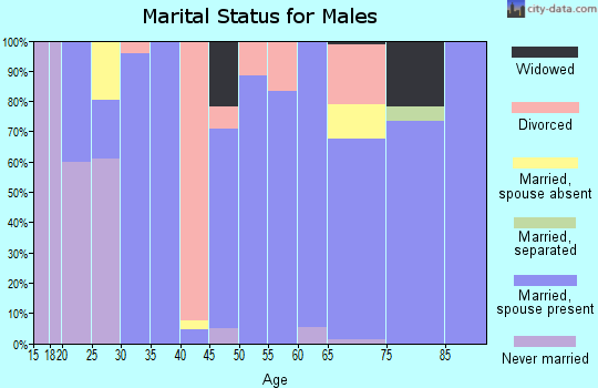 Zip code 47840 marital status for males