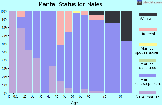 Zip code 47841 marital status for males