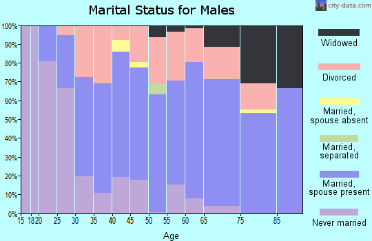 Zip code 47842 marital status for males